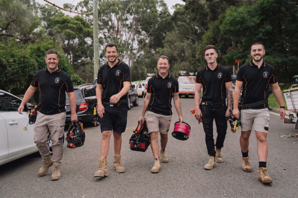 Professional electrical services in Haberfield